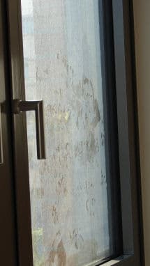 Tipps zum Fenster putzen - ein verschmutztes Fenster