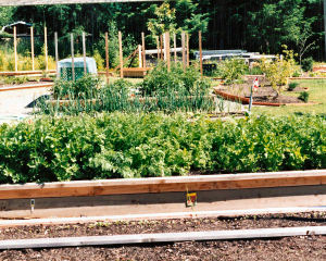Tipps für den Gemüse Garten