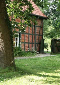 Mieten Kaufen Wohnen - was tun: Haus kaufen