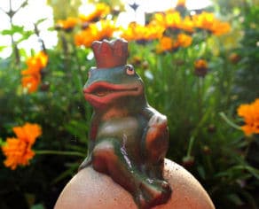 Frosch in Ringelblumen
