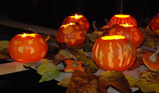 Lichter im November Garten