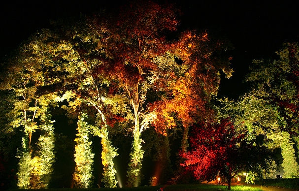 Kreative Ideen Licht im nächtlichen Garten