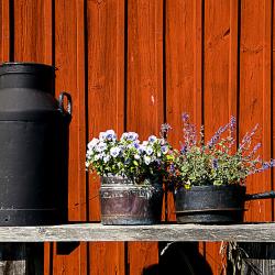 Briefkasten in Schweden - eine alte Milchkanne