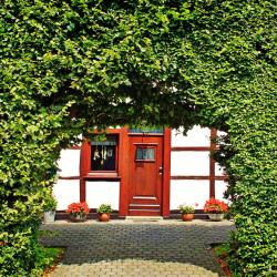 Malerische Hecke am Haus