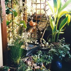 Pflanzen und Springbrunnen schaffen eine angenehme Stimmung in Ihrem Heim