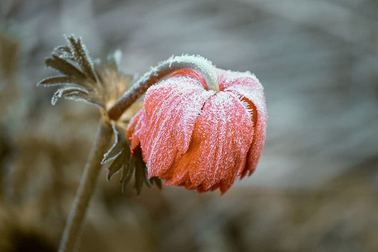 Zeit, die Terrasse wetterfest für den Winter zu machen