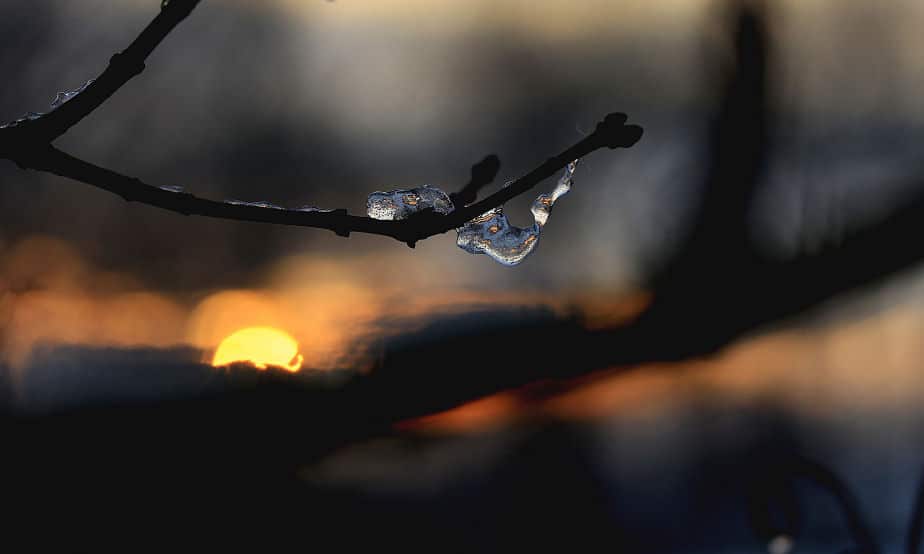 Wintersonne und Eis