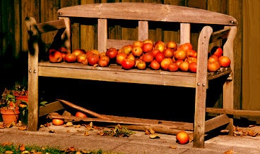 Im Garten wohnen - Apfelbank