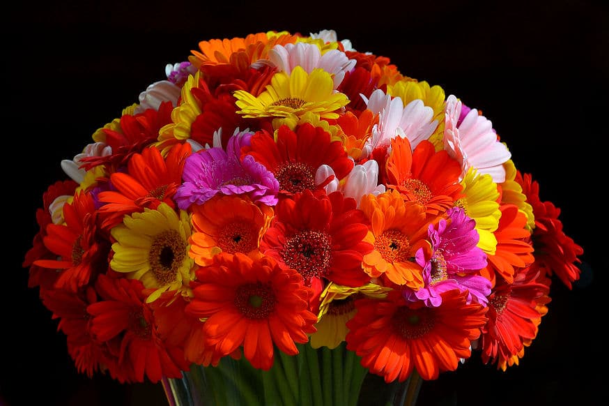 Blumen und Glückwünsche zum Muttertag mit einem Strauß Gerbera