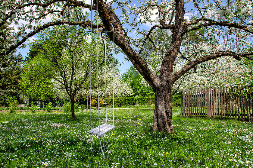 Im Frühling in den Garten gehn.