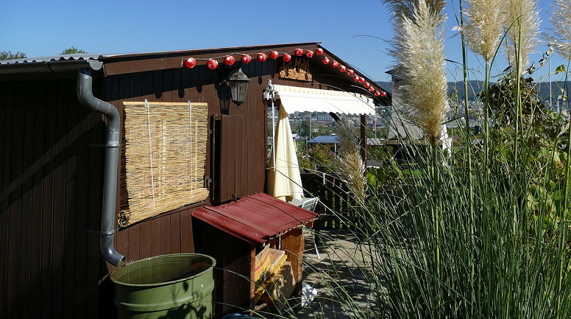 Pflanzen richtig gießen mit Regenwasser. 