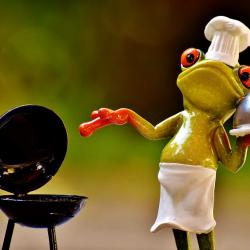 Herbstgrillen ist was für Genießer mit einem Frosch als Grillmeister vielleicht?