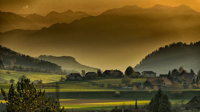 Gartenarbeit im Herbst - wenn die Nebel wallen