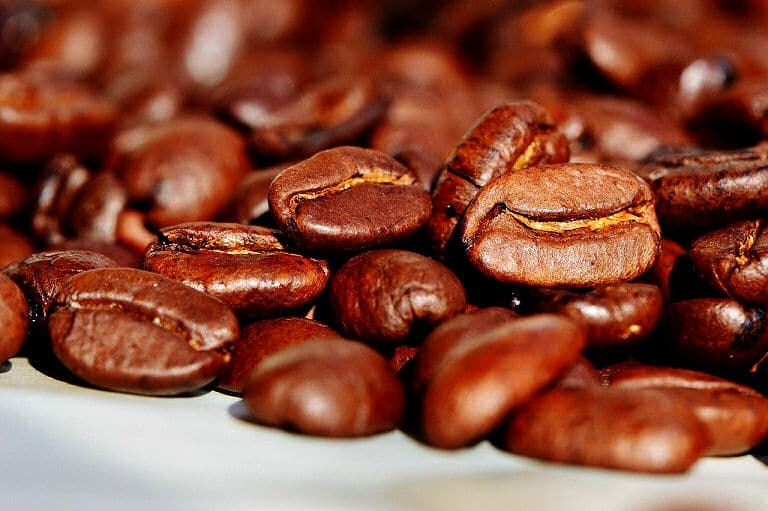 Kaffee richtig kochen aus frisch gemahlenen ganzen Bohnen