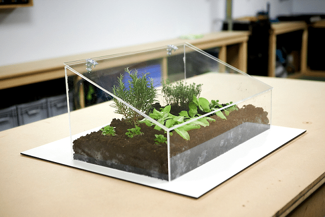 DIY Idee - kleines Gewächshaus aus Acrylglas