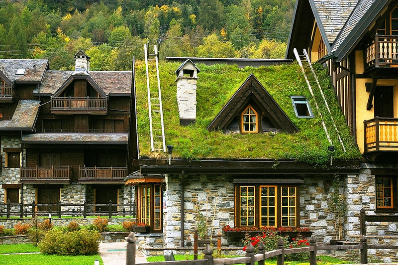 Ein Grasdach vielleicht, eine eine gut erschlossene Lage auf jeden Fall kann den Wert Ihrer Immobilie steigern.