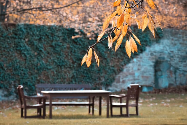 Gartenarbeit im Herbst - und Ruhe