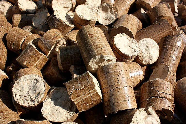 Auch Pellets sind umweltfreundlich und werden immer beliebter.