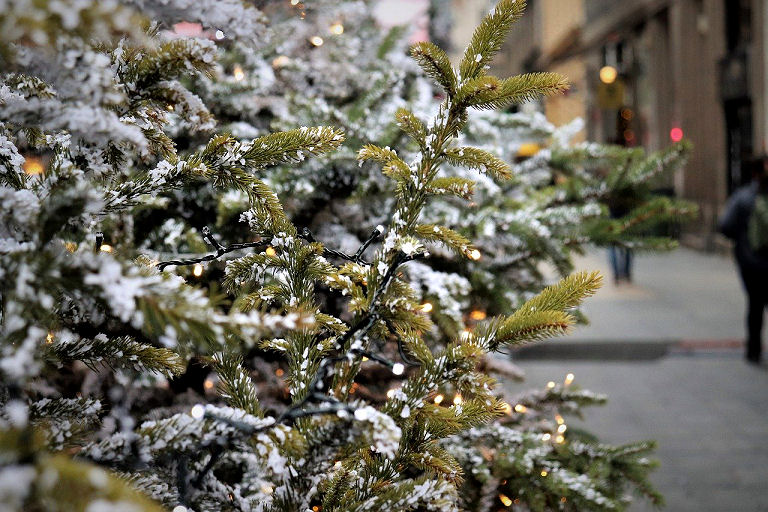 Weihnachtsbaum mit Schnee und Licht 