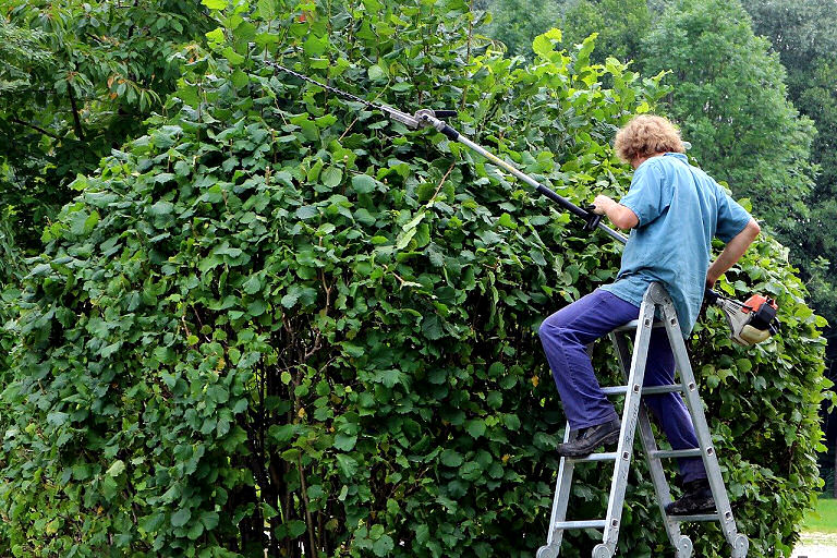 Handwerkliches Arbeiten - auch im Garten braucht man oft Schutz vor Verletzungen