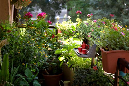 Grüner Balkon und schön naturnah