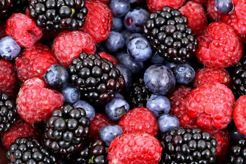 Himbeeren, Blaubeeren und Brombeeren für einen leichten Sommerkuchen