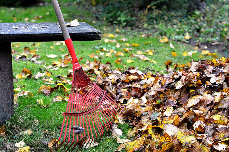 Manche Gartengeräte, wie zum Beispiel so ein Rechen für das Laub braucht man einfach für die Gartenarbeit.
