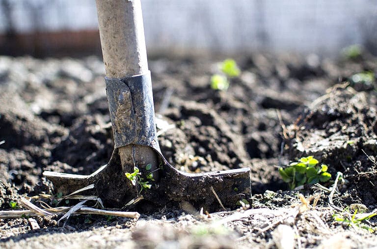 Manche Gartengeräte, wie zum Beispiel so ein Rechen für das Laub braucht man einfach für die Gartenarbeit.