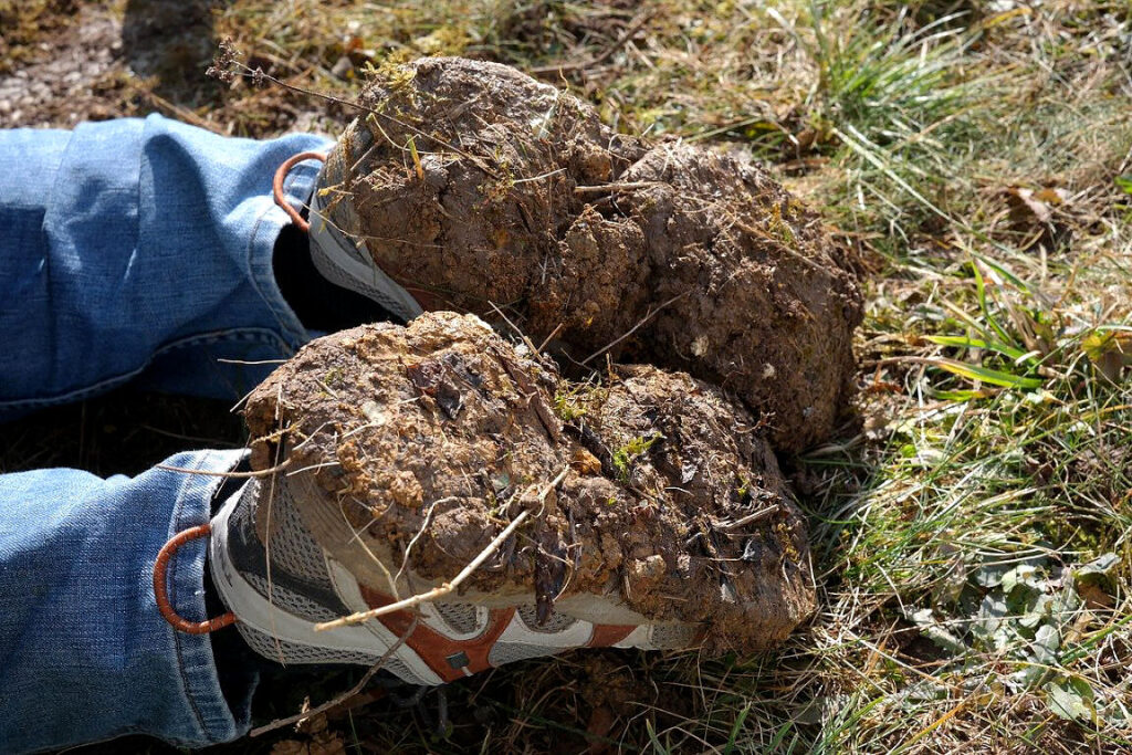 Für die Gartenarbeit braucht man vernünftiges Schuhwerk. 