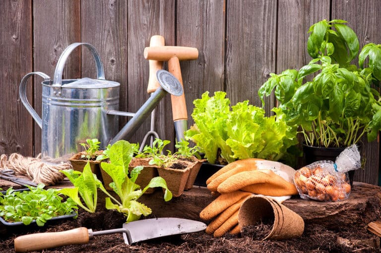 Ordnung im Garten halten will gut überlegt sein.