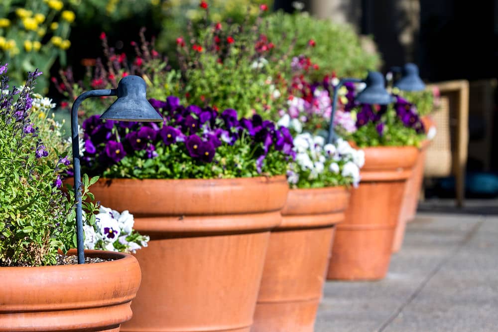 Passende Blumenkübel drinnen wie draußen 