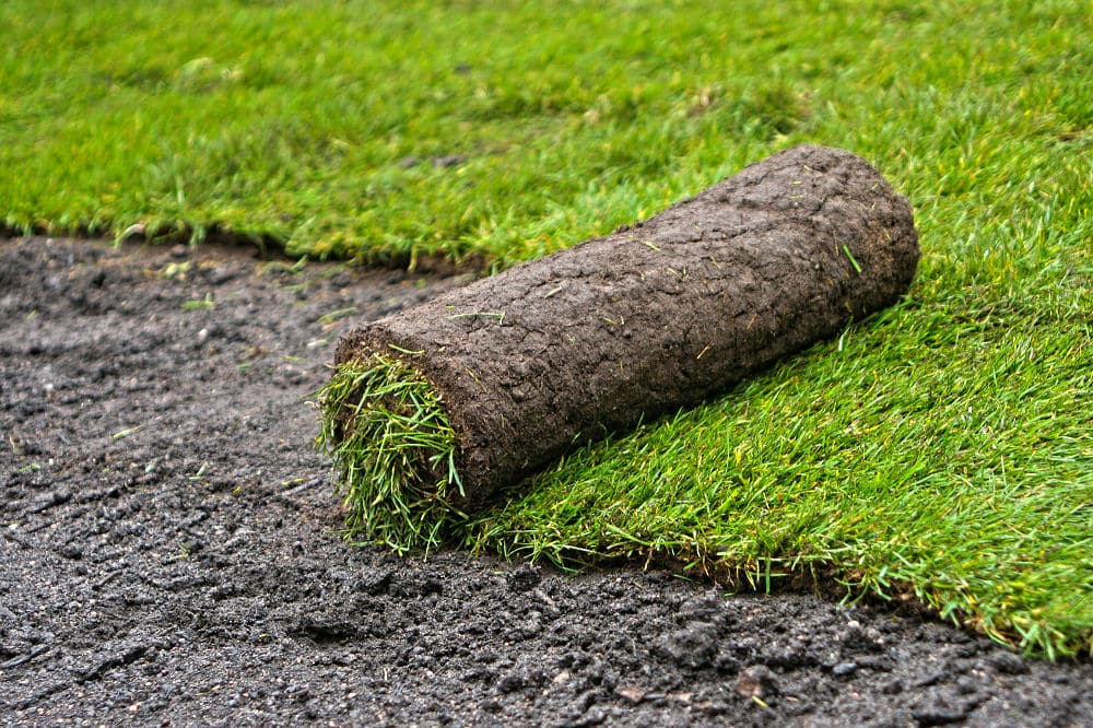 Wer sich sich für Rollrasen entscheiden will, sollte sicherstellen, dass auch in der trockenen Zeit im Sommer genug Wasser verfügbar ist, um ihn zu wässern. 