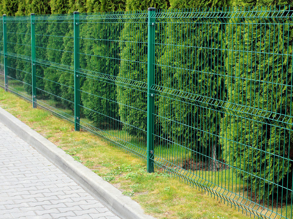 Eine Hecke am Zaun sollte man nicht zu dicht an den Zaun pflanzen, sonst kommt man zum Jäten schlecht an das Unkraut ran. 