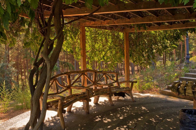 Eine Pergola, zu deutsch: Laubengang, bietet schön schattige Plätzchen im Garten.