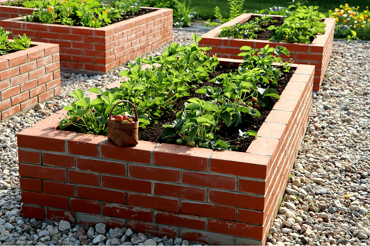 So ein Beet lässt sich natürlich auch mit Mauersteinen statt Natursteinen bauen. 