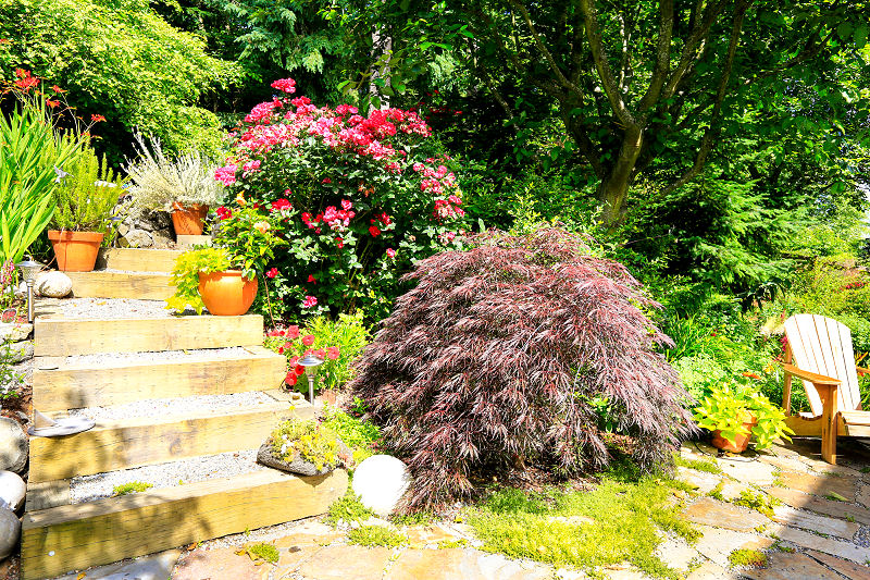 Ein eigener Garten kann für viele Menschen Nutzen und Erholung bieten. Je nach eigenen Bedürfnissen wird man ihn unterschiedlich gestalten. 