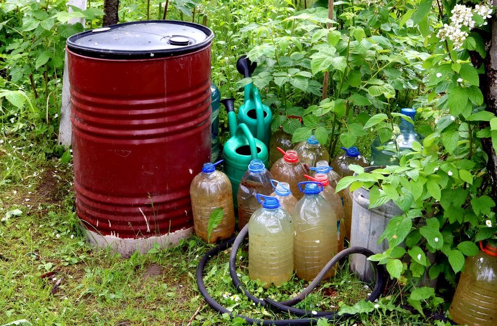 Eine einfache Methode zum Speichern von Wasser im Garten sind Regentonnen. 