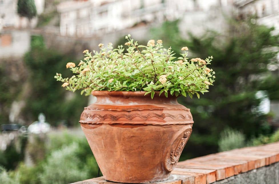 Für einen verspielten Stil braucht es eher runde, ovale oder auch spiralförmige Formen im Garten. 