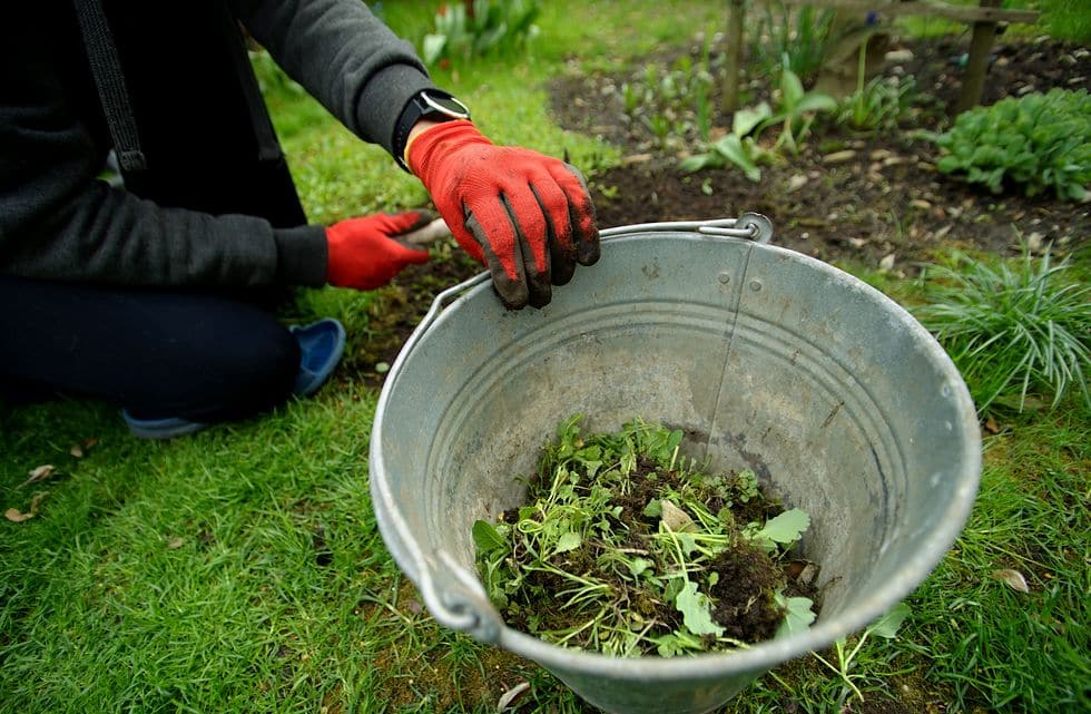 Arbeiten am Boden sind im Garten unvermeidlich, doch es gibt Wege, rückenschonend zu arbeiten und den Rücken zu entlasten. 