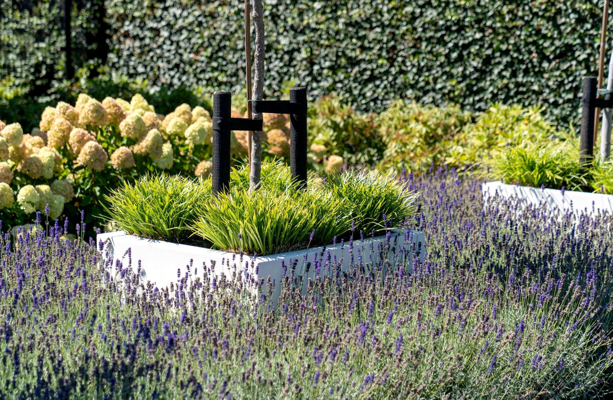 Blumenkasten Holz Braun 98x36x35cm - Wetterfester Pflanzkübel Mit 18L Einsatz