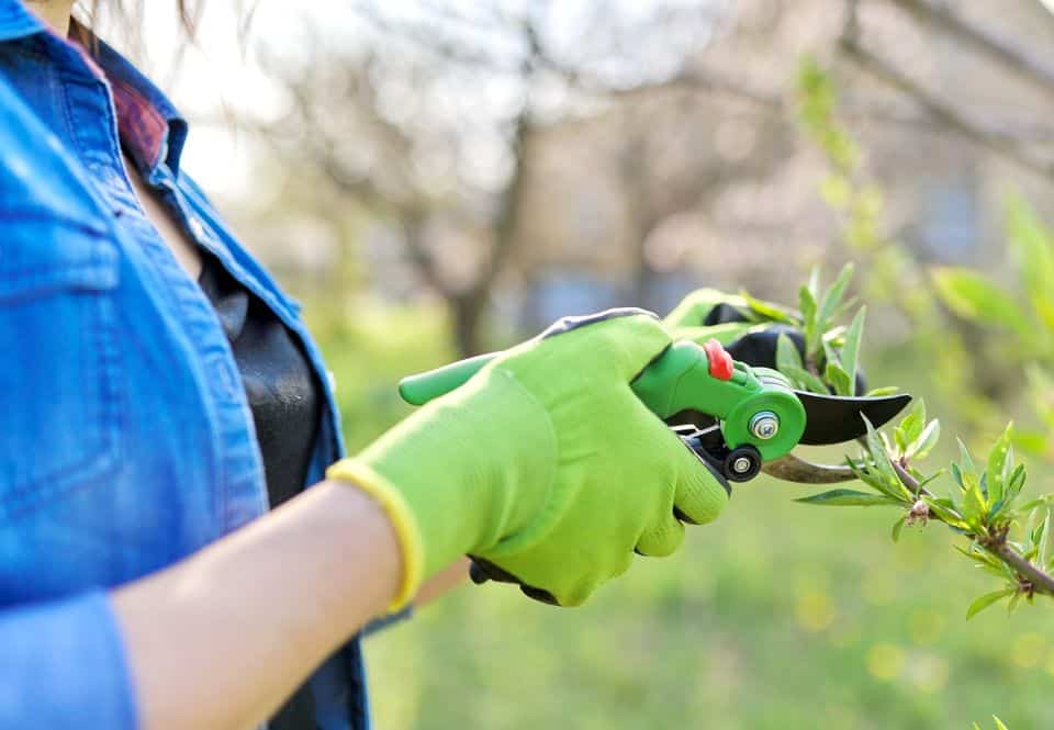 Feste Handschuhe müssen nicht unbedingt wasserdicht sein, dafür sollen sie meine Hände und Fingernägel vor Schnitten, Rissen, Verätzungen, Hitze oder Quetschungen schützen.