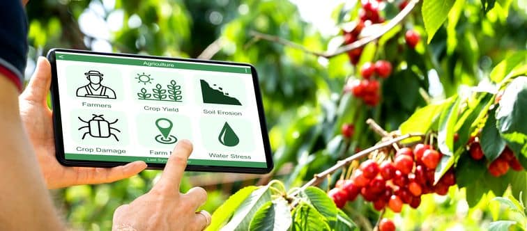 Intelligente Bewässerungssysteme passen den Wasserverbrauch an die aktuellen Wetterbedingungen an und sorgen so für eine effiziente Nutzung der Ressourcen.