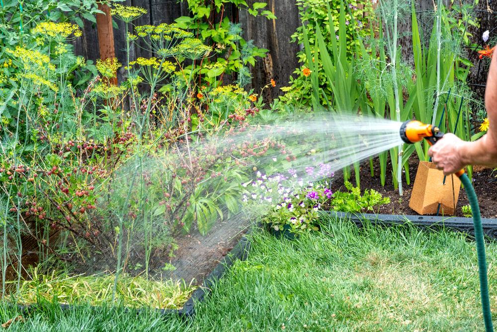 Wasserschlauch in der Nähe von Beeten vermeidet lästiges Schlauchziehen quer durch den ganzen Garten.